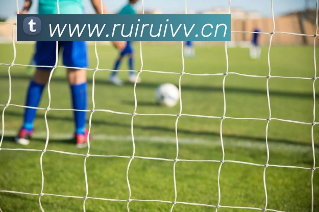 开云官方网页版登录APP 封面图